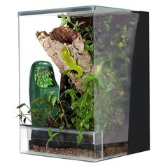 Wacool Reptile Water Dripper Chameleon Drinking Fountain Water Dispenser, Aut…