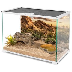 AWERT Reptile Habitat Background Blue Sky Oasis Cactus Sun and Desert Terrarium