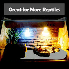 47″ X 24″ Large Reptile Carpet Terrarium Liner Bedding Reptile Substrate Mat Tan