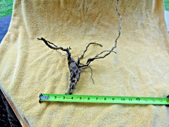 NATURAL SPIDER LIKE ROOT WOOD REPTILE TERRARIUM DECORATION ART GARDEN PET FLORAL