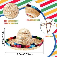 2 Pack Bearded Dragon Sombrero Hats – Lizard Cinco De Mayo Small, 2