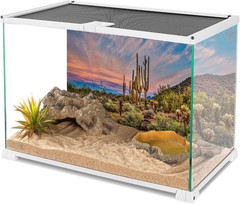 36×18 inches Terrarium Background Blue Sky Cloud Huge Cactus Oasis Gobi Reptile