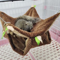 Small Animal Hammock, Hamster Hanging Bunkbed Hammock & Tunnel Warm Bed House…