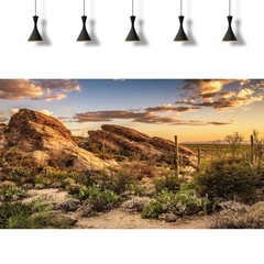 2 Packs Desert Mountain Reptile Tank Background Sunset Desert Gobi Cacti Sand…