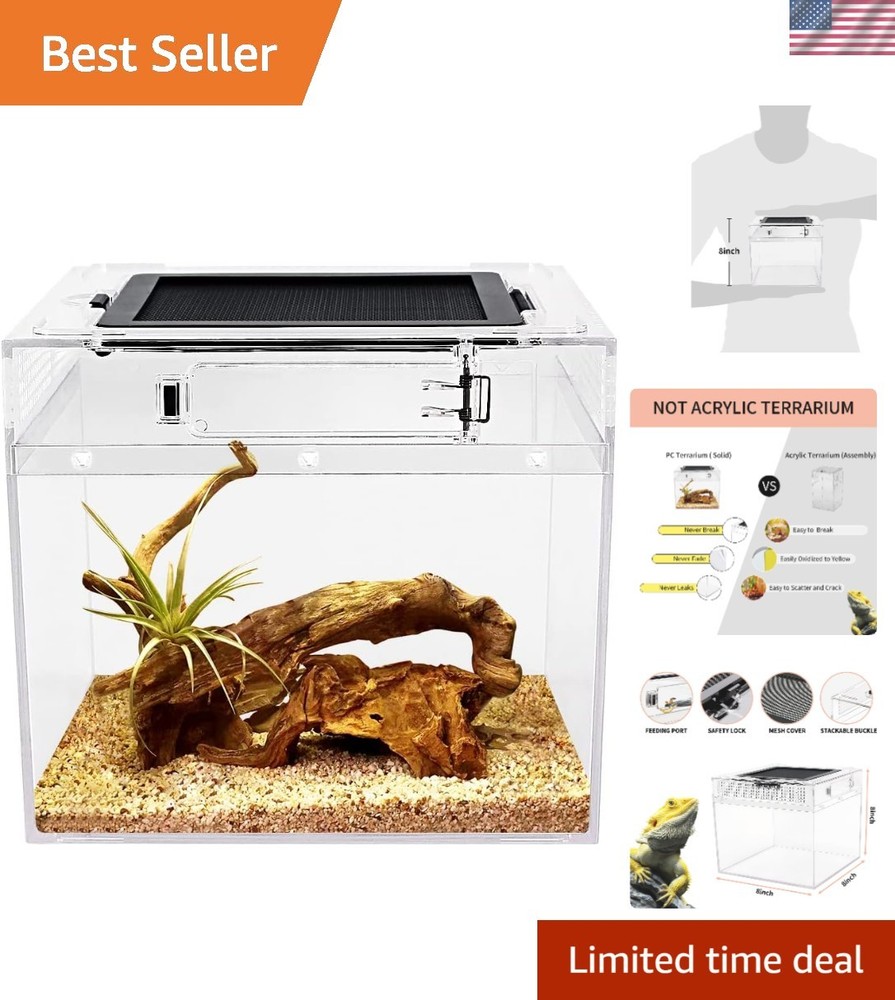 Versatile Reptile Terrarium 8″ x 8″ – Ideal for Lizards, Tortoises & More