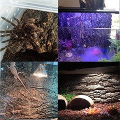 Hamiledyi 2PCS Cork Terrarium Background 15.7×11.8in Natural Cork Large Bark …
