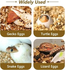 Plastic 16-Egg Reptile Hatching Box – High-Quality Incubator for Reptiles