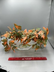 Artificial Reptile Plants for Terrariums and Aquariums (M Set – 2Pcs)