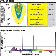 13W Fluorescent Canopy UVB/UVA Bulbs – Perfect Lighting for Reptiles (3.875 in)