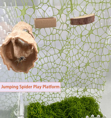 6Pcs Jumping Spider Accessories Set,Tree Jumping Spider Climbing Toy with Cave,