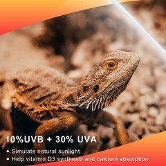 2 Pack T5 UVB 10.0 Reptile Light 8W, UVA UVB Fluorescent Lamp Tube, UVB Light…
