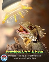 Haceryc Reptile Heat Lamp, 2 Pack 100W Heat Lamp Bulbs for Reptiles, Amphibia