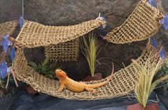 Reptology Lizard Lounger Corner Triangle – 100% Natural Seagrass Fiber – Grea…