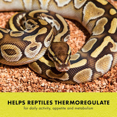 Heat Mat, Terrarium Heater for Reptiles, Snakes (Ball Pythons, Corn Snakes), Leo