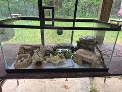 45 gallon reptile tank with hygro meter, heat lamps, lights, & multiple toys