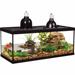 fauna 20-Gallon Deluxe Aquatic Glass Turtle Tank Starter Kit FREE SHIPPING