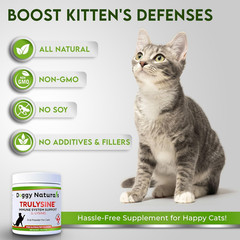 Trulysine L-Lysine for Cats Immune Support Oral 100 Grams ( 500mg / Scoop)