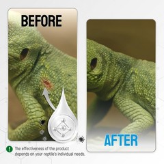 Reptile Wound Care Spray with Silver – for Wounds, Cuts, Scale Rot, Burns, So…