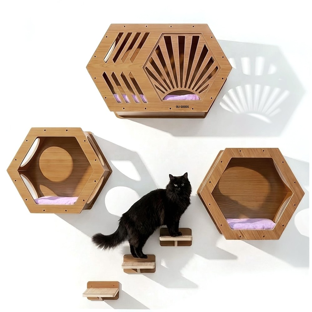 OLI GOODS Modern Hexagonal Cat Wall Shelf System, 6-Piece Wood Wall Mounted C…