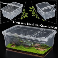 6 Pack Reptile Feeding Box Breeding Transparent color