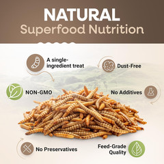 Dried Mealworms 100% Non-Gmo 10 Lb – Mealworms for Birds, Chickens, Ducks – Perf
