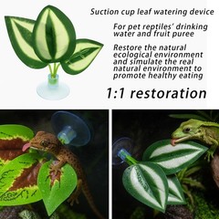 13 PCS Reptile Reptile Eco Bottle Decoration Set – vines, eco bottle plants, …