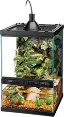 11 Gallon Glass Tropical Vertical Habitat Starter Kit for Small Tree Dwelling Re