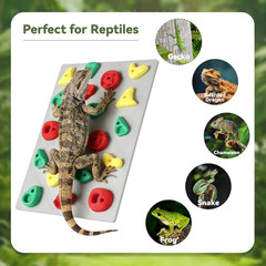 Climbing Wall for Reptiles, Reptile Tank Terrarium Accessories Habitat Decor for