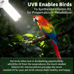 Bird Cage UVB Light Combo Kit, Avian Sun Lamp 2.4% UVB UVA 20W Compact Fluoresce