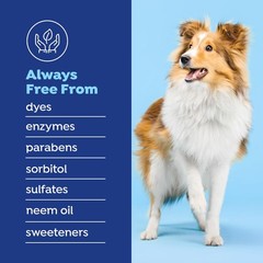 Fresh Dental Water Additive for Dogs 2-Pack, 18oz Each — Dog Breath Freshener…