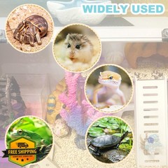 Anranmm Hermit Crab Accessories White