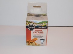 GOLDEN LIGHT BASKING SPOT LIGHT 100W BULB Reptiles THRIVE Bearded Dragons Snakes