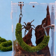 Practical Pet Climbing Rope for Tarantulas Geckos and Small Reptiles