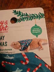 Bearded Dragon Holiday 2-pack bandanas
