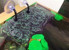 BigTron Turtle Platform, Floating Turtle Pier Rectangular Terrapin Dock PU Fo…