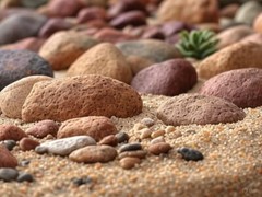 5 lbs Sonoran Desert Sand for Reptile Terrariums (Phoenix, AZ Sourced)