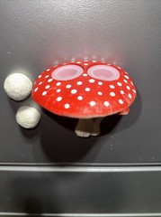 RED reptile magnetic mushroom feeder Ledge With (2) Clear 1/4 Oz Food Bowls.
