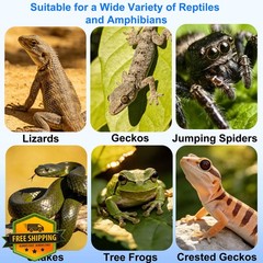 Jusdreen Magnetic Reptile Feeding Ledge