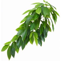 ReptiKing Reptile Hanging Plant Style B, Large Branch Vine and Plants