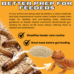 10 lb Wheat Bran for Mealworms & Superworms Food Bedding Free Shipping
