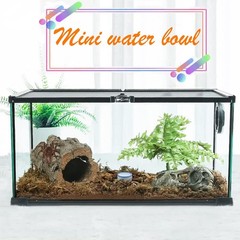6 Pcs White Spider Micro Water Bowls Mini Ceramic Dish Set