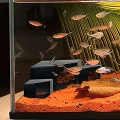 Aquarium Corner Cave Hide Axolotl Cichlid Cave Fish Tank Accessories, Corner …