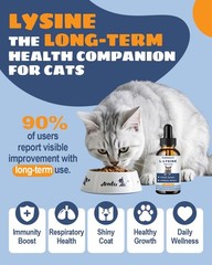 SANTKOL L-Lysine Supplement for Cats – Immune Support – 60ML Lysine 60 ML