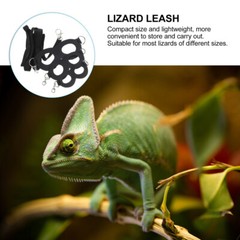 Bearded Dragon Leash and Harness Set Leashes Harnesses for Dragons Lizard