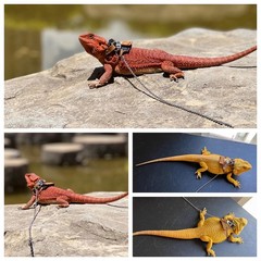 Bearded Dragon Harness and Leash Adjustable(M,L,XL) – Soft Leather Reptile Li…