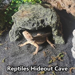 Reptile Hideout Rock Tortoise Hide Cave Resin Rock Lizard Hideaway Quality Resin