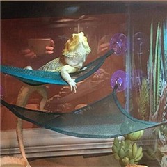 Bearded Dragon Hammock Habitat Lizard Reptile Lounger Hanging Bed 2 PACK USA##