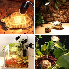 6-Packs 25W Bulbs Reptile Heat Lamp Heater Light Halogen Basking Bulbs Full S…