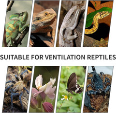 33 Gallon Vertical Reptile Cage for Chameleons, Geckos, and Lizards
