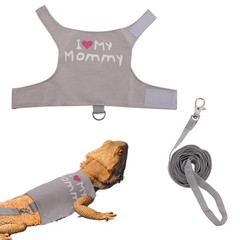 Bearded Dragon Leash and Harness Set, Cute Adjustable Lizard Reptile Harness …